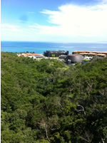 Oist Campus